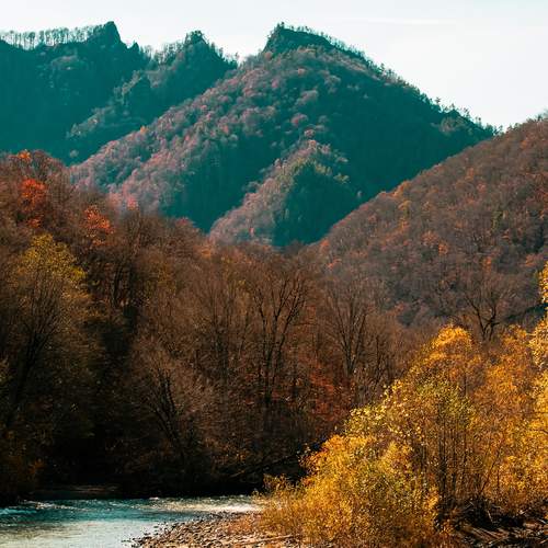 Photo #12811750