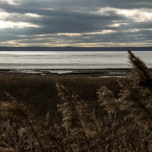 Photo #12812217