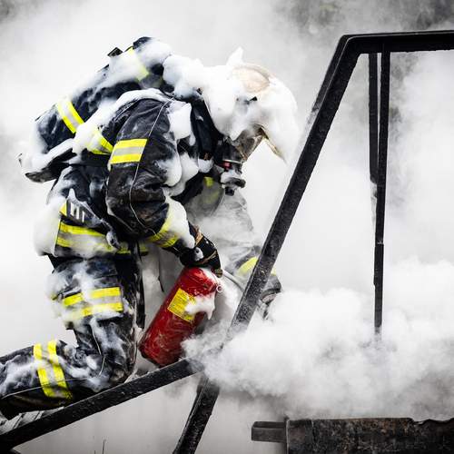 Photo #12812255