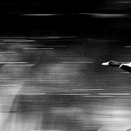 Photo #12812409