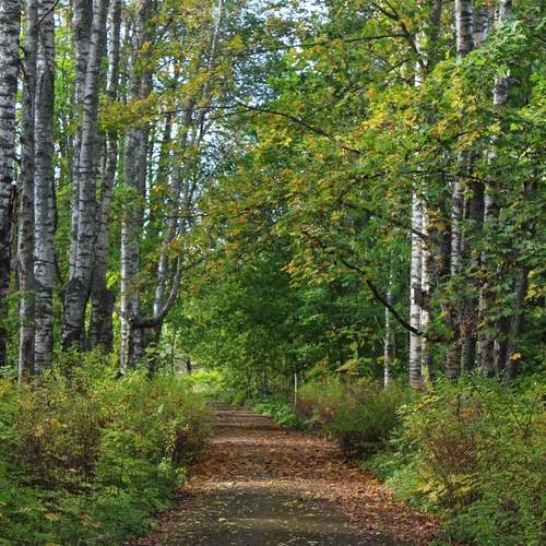 Photo #12812715