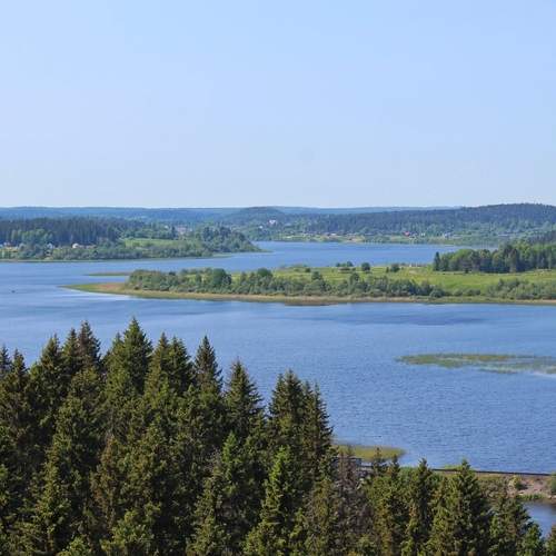 Photo #12812733