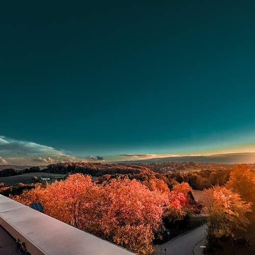 Photo #12812749