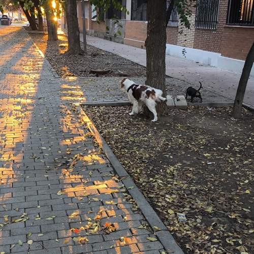 Photo #12813085