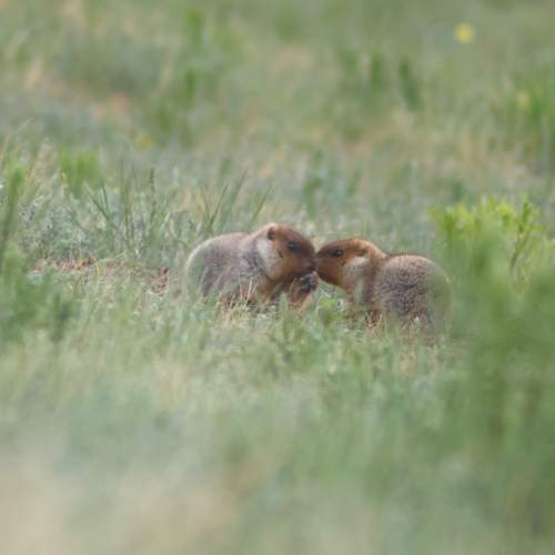 Photo #12813557