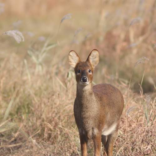 Photo #12813560
