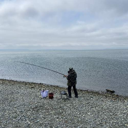 Photo #12814346