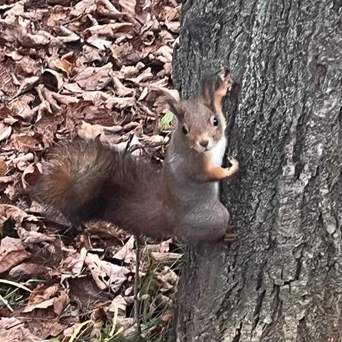 Photo #12814523