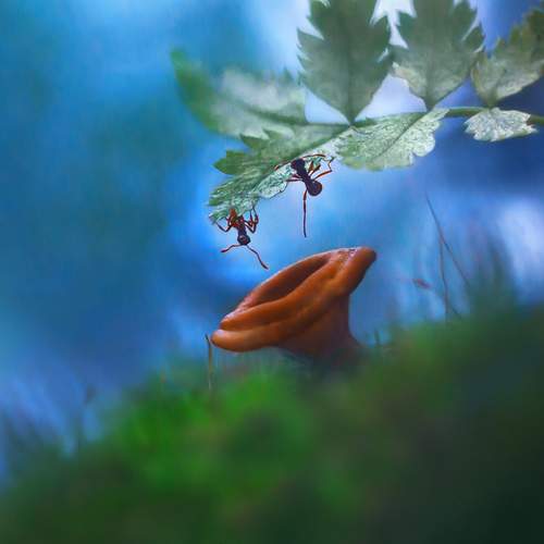 Это, сынок, десантники...