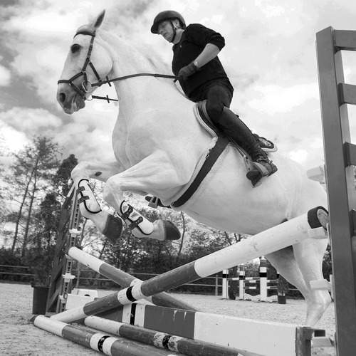 Concours hippique
