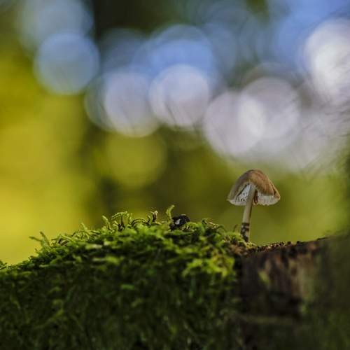 Photo #12814841
