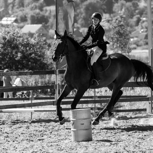 Photo #12814862