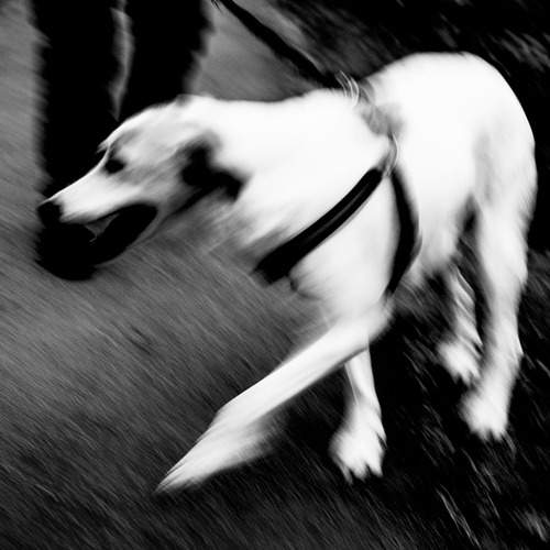 Photo #12814892