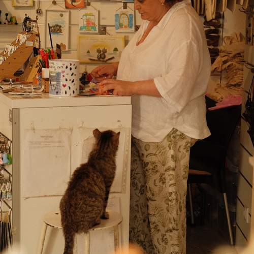 Photo #12815147