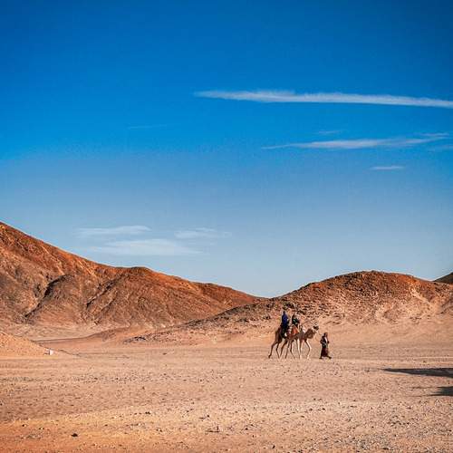 Photo #12816124