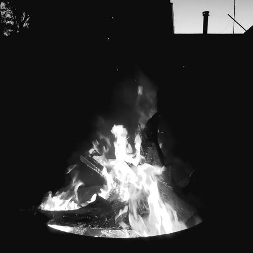 Photo #12816268