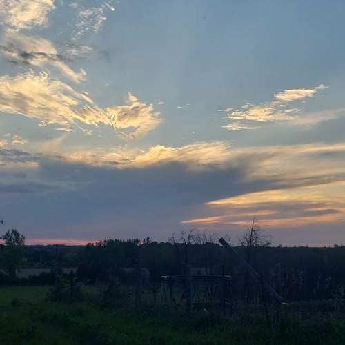 Photo #12816369