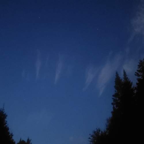 Photo #12816370