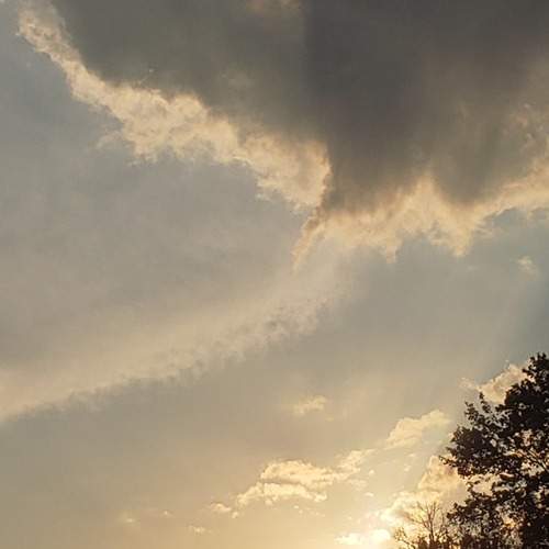 Photo #12816373