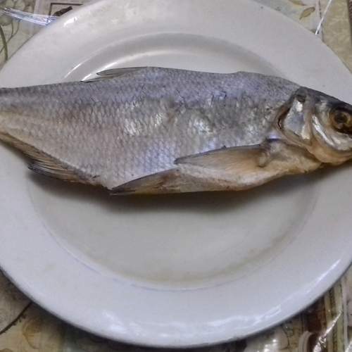Photo #12816770