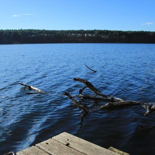 Photo #12816813