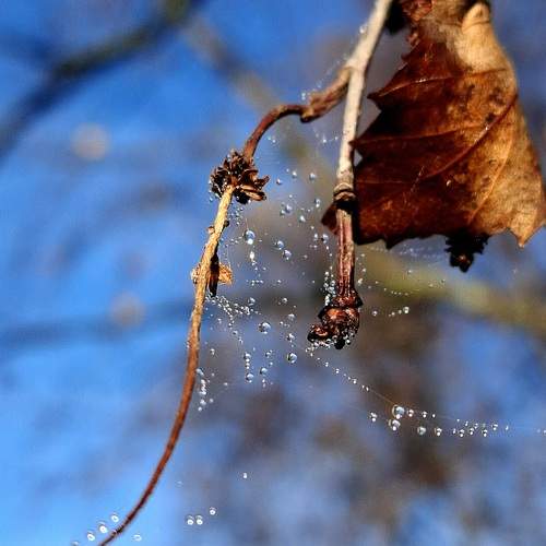 Photo #12816853