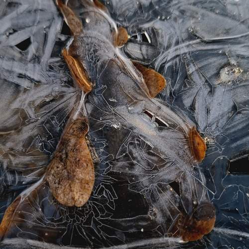 Photo #12816866