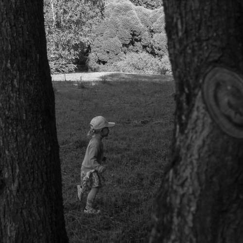 Photo #12816873