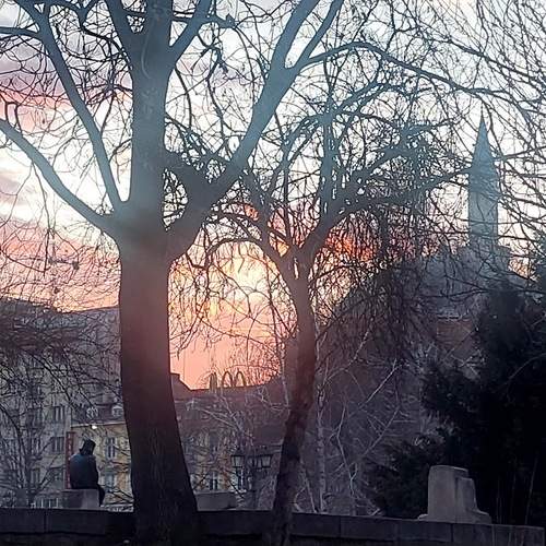 Photo #12816911