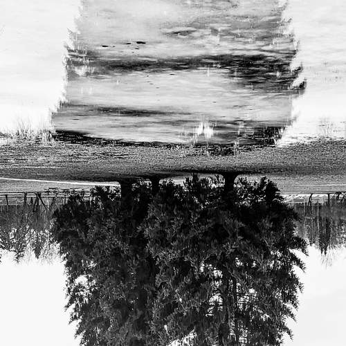 Photo #12816964