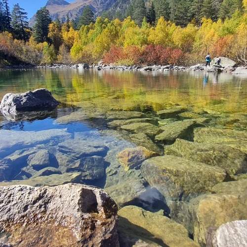 Photo #12817292
