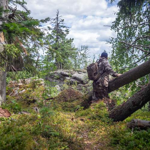 Photo #12817409