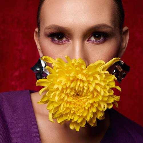 Photo #12817788