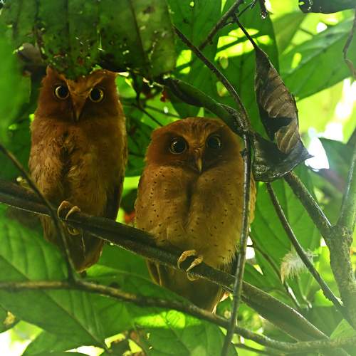 Photo #12818837