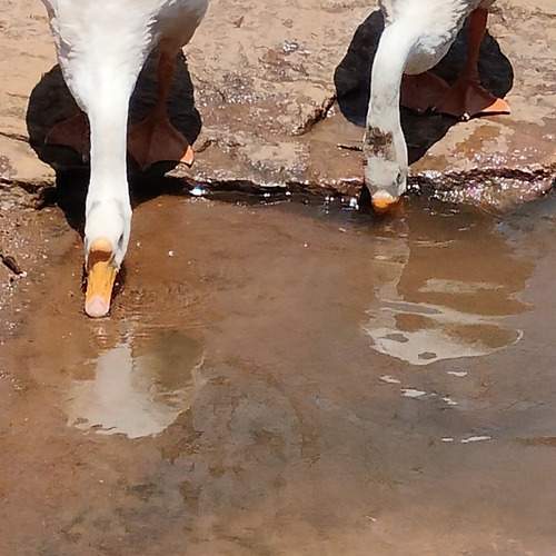 Photo #12819048