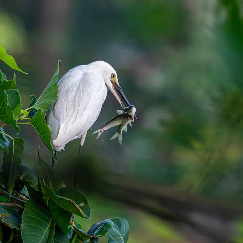 Photo #12819120