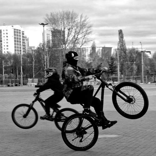 Photo #12819196