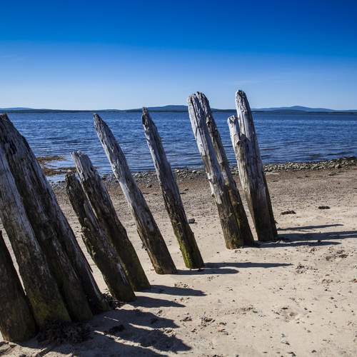 Photo #12819256