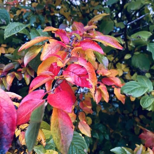 Photo #12820224