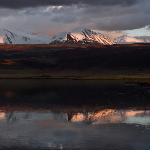 Photo #12820621