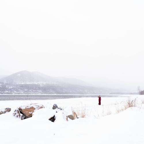 Photo #12820740