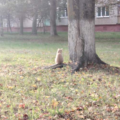 Photo #12820745