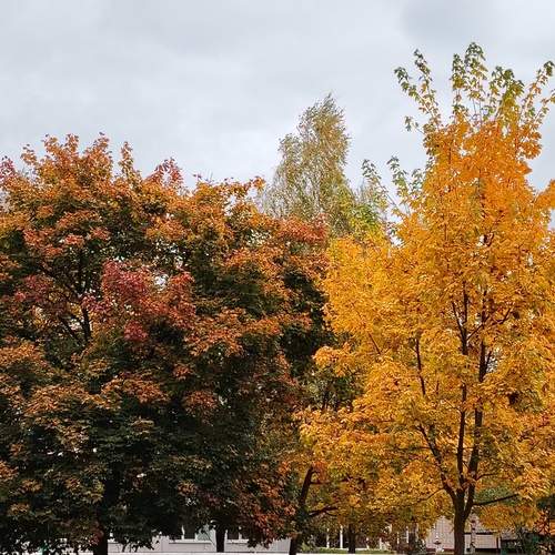 Photo #12820747