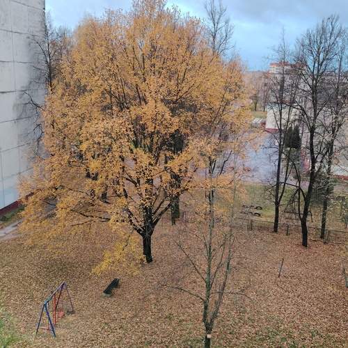 Photo #12820750