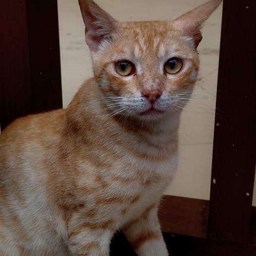 Photo #12820952
