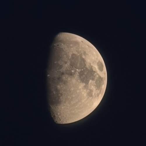 Photo #12821122