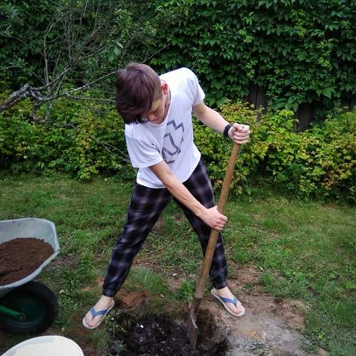 Photo #12821367