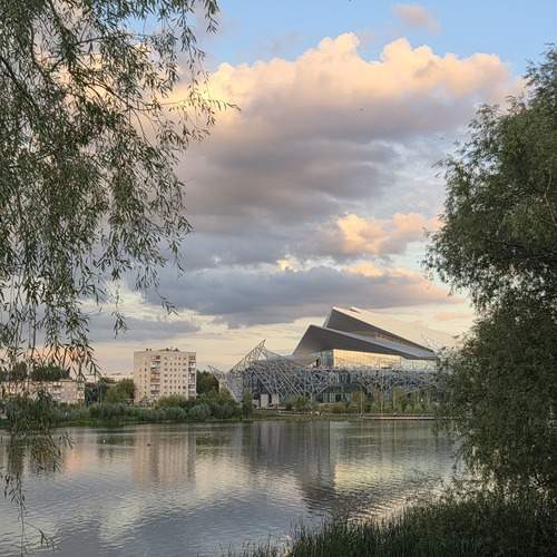 Photo #12821448