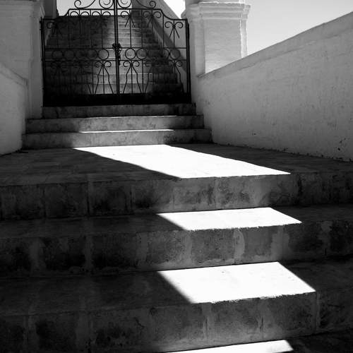 Photo #12821474