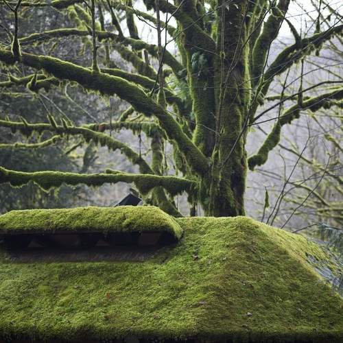Photo #12821770
